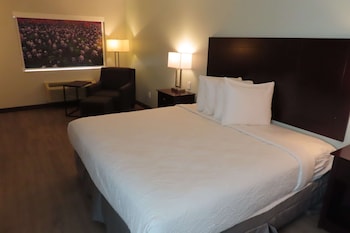 Standard Room, 1 King Bed, Accessible, Refrigerator & Microwave (Walk-in Shower)