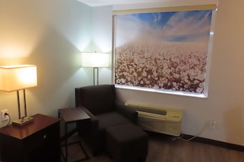Standard Room, 1 King Bed, Non Smoking, Refrigerator & Microwave