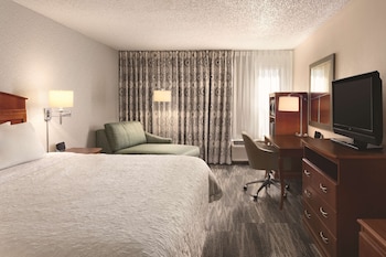 Room, 1 King Bed, Accessible, Non Smoking (Roll-in Shower)