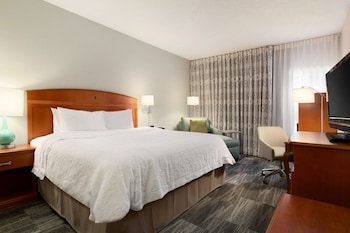 Room, 1 King Bed, Accessible, Non Smoking (Roll-in Shower)
