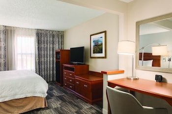 Room, 1 King Bed, Accessible, Non Smoking (Roll-in Shower)