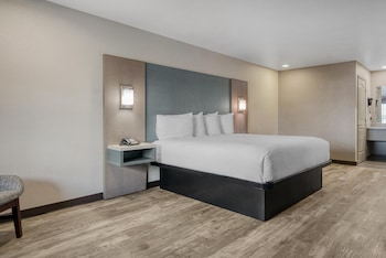 Standard Room, 1 King Bed, Smoking, Refrigerator & Microwave