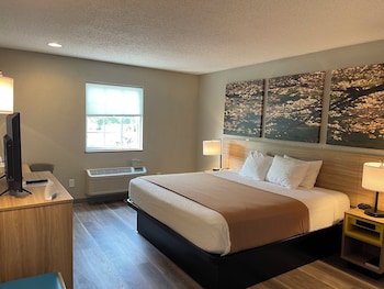 Standard Room, 1 Queen Bed with Sofa bed
