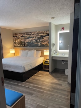 Suite, 1 King Bed with Sofa bed