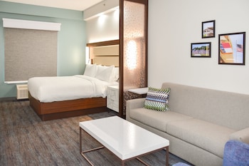 Suite, 1 Bedroom