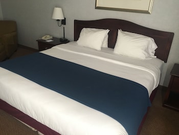 Suite, 1 King Bed, Non Smoking (Jacuzzi)