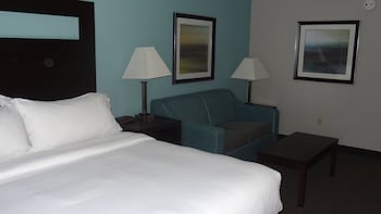 Suite, 1 King Bed (Additional Living Area)