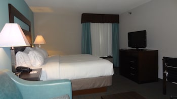 Suite, 1 King Bed (Additional Living Area)