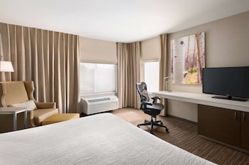 Room, 1 King Bed, Accessible, Bathtub (Mobility & Hearing)