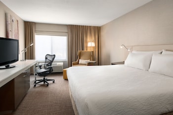 Room, 1 King Bed