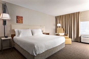 Room, 1 King Bed