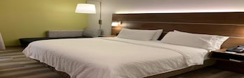 Standard Room, 1 King Bed, Accessible