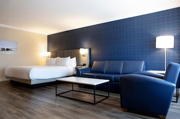 Business Room, 1 King Bed
