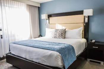 Executive Suite, 1 King Bed with Sofa bed