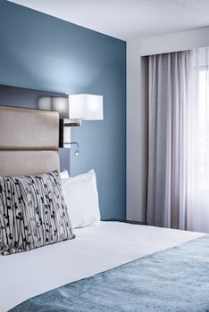 Executive Suite, 1 King Bed with Sofa bed