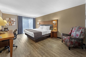 Standard Room, 1 King Bed, Non Smoking