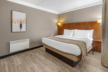 Suite, 1 Queen Bed, Non Smoking, Refrigerator