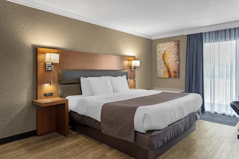 Standard Room, 1 King Bed, Accessible, Bathtub