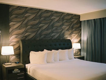 Deluxe Suite, 1 Bedroom
