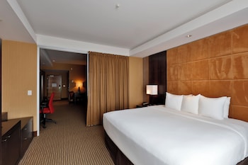 Business Suite, 1 King Bed with Sofa bed