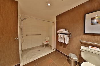 Premium Room, 1 King Bed, Accessible