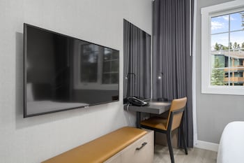 Deluxe 1 Bedroom Suite