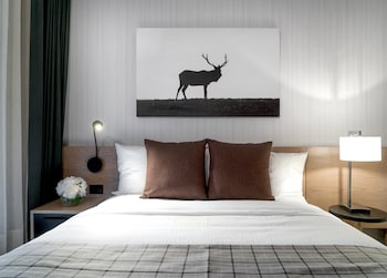 Deluxe Suite, 2 Bedrooms