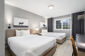 Deluxe Suite, 2 Bedrooms