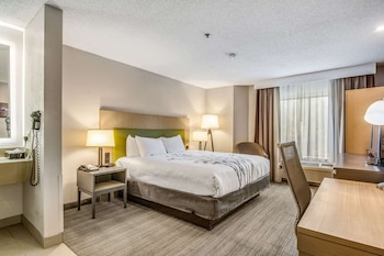 Standard Room, 1 King Bed, Non Smoking