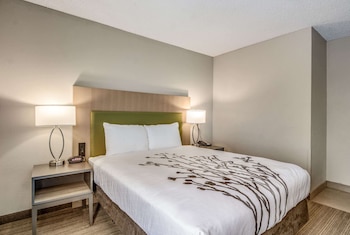 Room, 1 Queen Bed, Accessible, Non Smoking