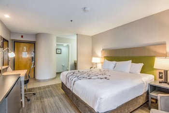 Standard Room, 1 King Bed, Non Smoking