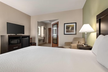 Standard Room, 1 Queen Bed, Accessible, Non Smoking