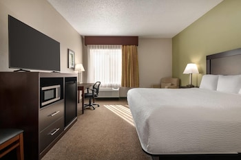 Standard Room, 1 King Bed, Non Smoking