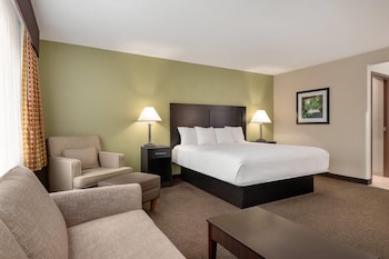 Studio Suite, 1 King Bed, Non Smoking