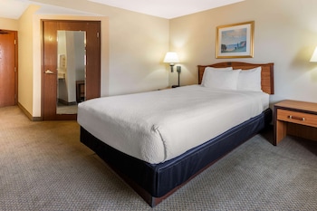 Room, 1 Double Bed, Accessible, Non Smoking (Mobility/Hearing Impaired Accessible)