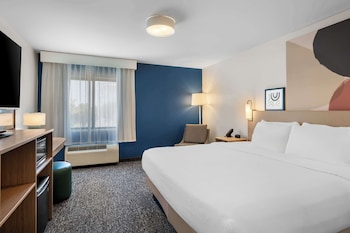 Room, 1 King Bed