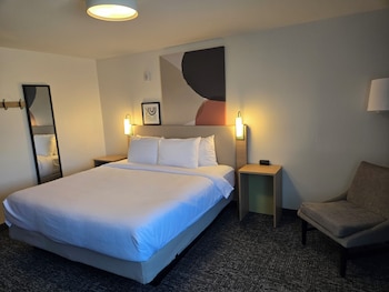 Room, 1 King Bed