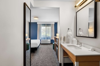 Room, 1 Queen Bed, Roll-in Shower