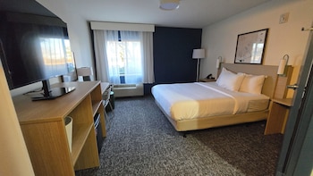 Room, 1 Queen Bed, Roll-in Shower