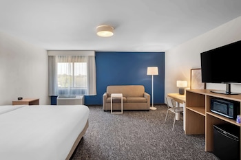 Room, 1 King Bed with Sofa bed