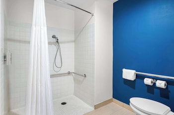 Room, 1 Queen Bed, Roll-in Shower