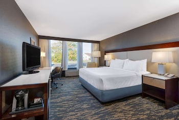Room, 1 King Bed, Non Smoking (Wellness Room)
