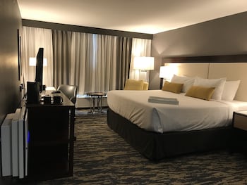 Room, 1 King Bed, Non Smoking (Wellness Room)