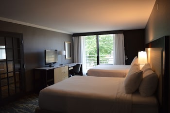 Deluxe Suite, Multiple Beds, Non Smoking