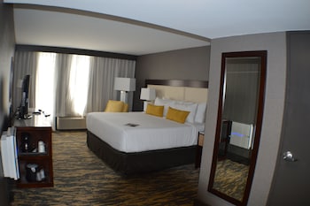 Room, 1 King Bed, Non Smoking (Wellness Room)