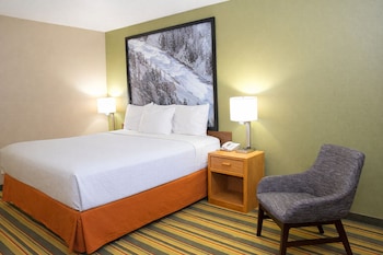 Room, 1 King Bed, Non Smoking