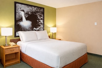 Deluxe Room, 1 Queen Bed, Non Smoking