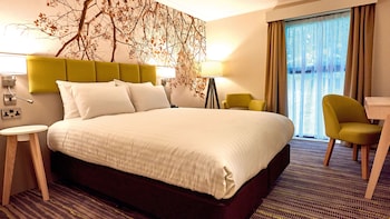 Standard Room, 1 Double Bed, Accessible
