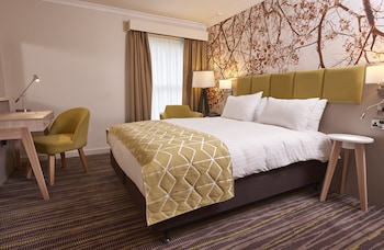 Standard Room, 1 Double Bed, Accessible