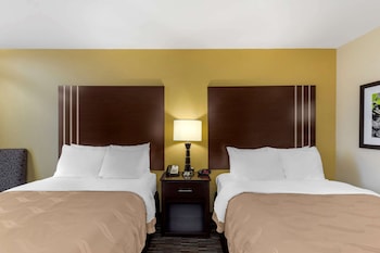 Two Double Beds NonSmoking,Pet Friendly Room